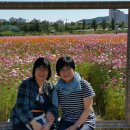 남국농장 이미지