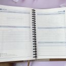 브라운스프링 이미지