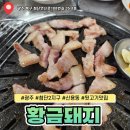 황금돼지뒷고기 이미지