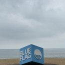 해조 | 완도반값여행, 완도국제해조류박람회 방문 후기