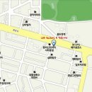 소나이뉴