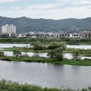 서천공원 이미지