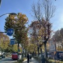 양재시민의숲 공원 테니스장 이미지