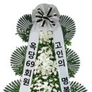 서울-상북-상북02 Daum카페
