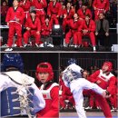 강호동태권도 이미지