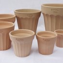 로자리안 이미지