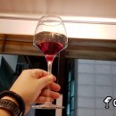 피노와인 이미지