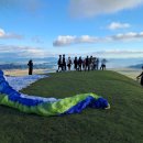 보성농장 이미지