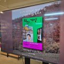 삼형제공인중개사사무소 | [부산] 책방지기의 미술관 ㅡ 조영주 도서 전시 중