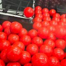 이색뽑기 이미지