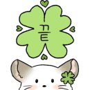 우돈제주생고기 이미지