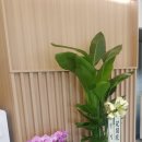 광명역새빛내과의원