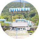 덕진공원정문장애인자판기 | [과천] 서울대공원 동물원①ㅣ여름 방문꿀팁 : 입장료 및 운영시간 / 스카이리프트 및 코끼리열차 이용방법