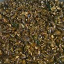 골뱅이PC 이미지