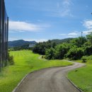가야대학교(고령) | 경북 고령 대가야 cc 마산에서 1시간 20분 거리 명랑 골프 구름맞져 이쁜 하루