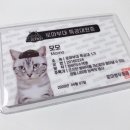 대원퍼니처