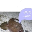 고마아구찜,뽈찜 이미지