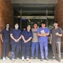 비글구조네트워크 동물메디컬센터 메디소비자뉴스