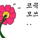 용추힐링랜드 이미지