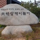 목포 해상케이블카와 고하도 산책길 이미지