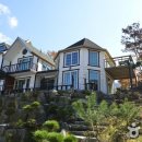 고북벨리 이미지