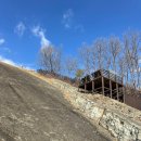 신성리 공룡발자국 | 신성리 공룡발자국 화석산지 1억 년 전의 흔적