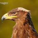 조리푸르지오(파주푸르지오) 이미지