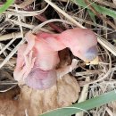 상담주차장 이미지