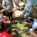 예소담유치원 이미지