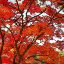 공산성커피 이미지
