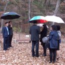 진순2호 이미지