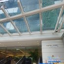 호텔오아시스 | 홍콩 가성비 호텔 코지 오아시스 패키지여행 후기