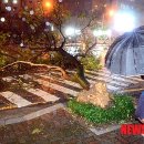 전남교통광고 이미지