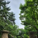 서천-5 | 🌲 [서천 여행] 희리산자연휴양림 ‘까치관’ 숙박 후기 (5인실 침대방) 🍃