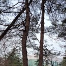 고양누리길 8코스 경의로누리길 | 고양누리길 8코스(경의로누리길) 트레킹!!