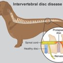 만박동물병원 이미지