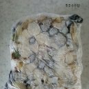 떡사랑컴