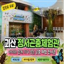 이와 | 정서곤충체험관 다녀온 후기 리모델링된 괴산 무료 곤충 체험 (충북아쿠아리움)
