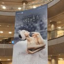 백조의호수 | [공지] 260816 예술의전당 백조의호수 전민철 홍향기 공연 관람 후기