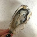 석화목장 이미지