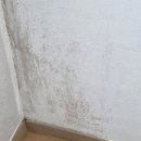 동부산약품㈜ | 부산입주청소 씨피클린 안락뜨란채 이사청소 후기