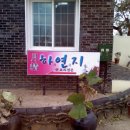 하연지 이미지