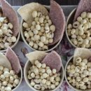 춘천중앙노인복지센터 이미지