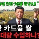 카드뮴 논란 중국산 쌀은 어떻게 우리 몸까지 들어오나. 이미지