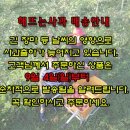 청송해뜨는농장 이미지
