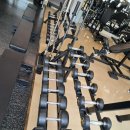 더바디피트니스 | 어방동 헬스장 [더 바디 피트니스] 근무자 후기