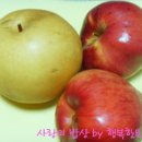 대박과일 이미지