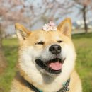 16 이미지