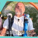 9월28일 어서와 한국은 처음이지? 선공개 3초 만에 50m 상공으로 발사 고소 공포증 외국인의 K-액티비티 리액션 영상 이미지