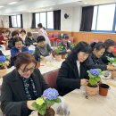 생활원예(반려식물) | 대구 달성군, &#39;슬기로운 반려식물 생활&#39; 생활원예 교육 실시 - 이론부터 수국 재배 실습까지